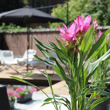 Charmehotel Villa Saporis ฮัสเซลต์ ภายนอก รูปภาพ